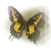Logo Couleur Anim - Papillons